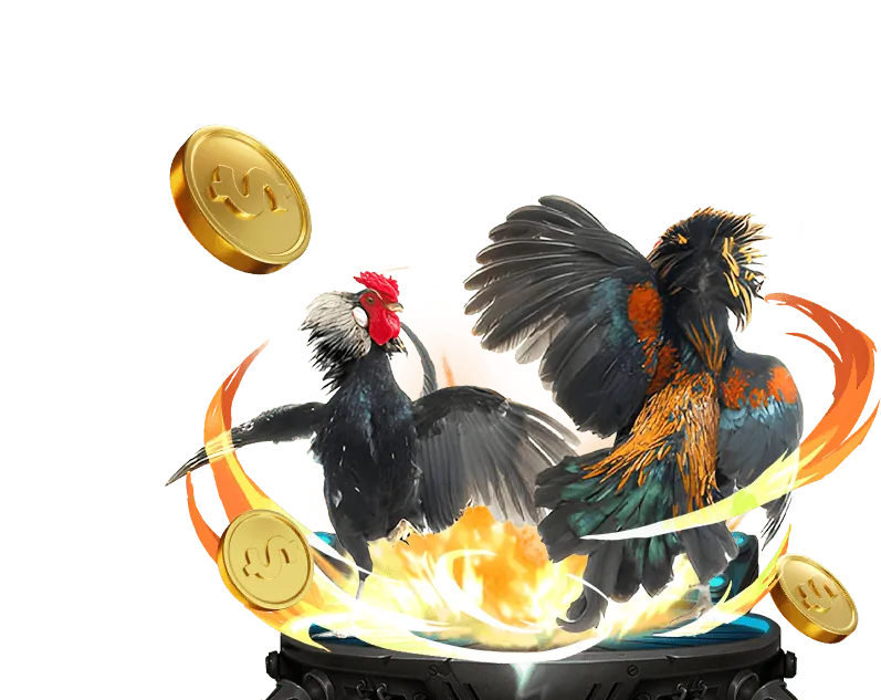 Phân tích kèo đá gà ae88